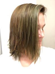 Green Hair After Using Lush Henna Noir Help Has Anyone Ever Has Success Removing Henna From Hair I M Stuck Looking Like A Swamp Monster Lushcosmetics