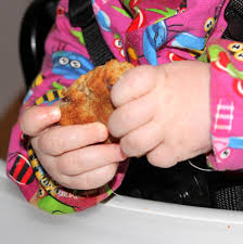 Studien Zu Baby Led Weaning