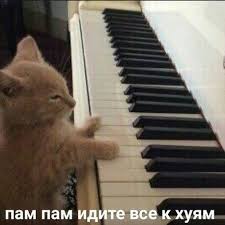 пам пам пам пам пам пам пам пам пам 