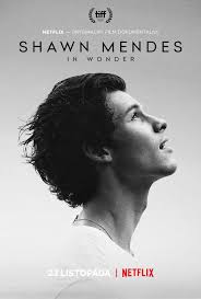 Shawn Mendes: In Wonder (2020)