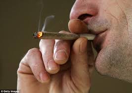 Country With The Highest Rate Of Marijuana Smokers Is Revealed To Be Iceland Daily Mail Online