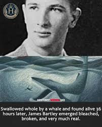 Check this out. He almost got swallowed by a whale!