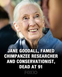 Shelby Myers Journalist added a...