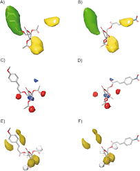 Image result for Cleistochlamys