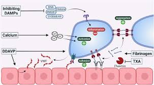 Image result for Platelet Function Closure Time