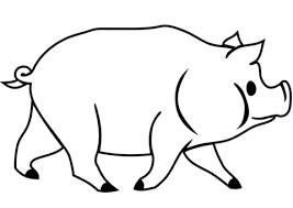 Desenho De Porco Domestico Para Colorir Desenhos Para Colorir E Imprimir Gratis
