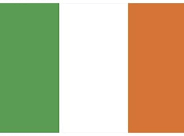 For some reason the icing is lumpy and bumpy, the lines aren't as straight as they should be, the black icing bled a little bit, etc. Republic Of Ireland Flag Irish Flag 5 X 3 Amazon De Sport Freizeit