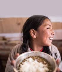 Investigación para el desarrollo en el Perú: Once balances