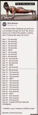 simple quick workout 30 day plank workout challenge plank challenge