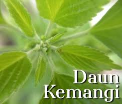 • 1 ekor (700g) ikan gurame, potong serasi • 2 buah tomat. Usir Jerawat Dan Flek Hitam Dengan Daun Kemangi Cantik Tempo Co