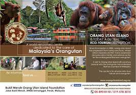 Restauranger i närheten av bukit merah orang utan island foundation. Bukit Merah Orang Utan Island Foundation Home Facebook