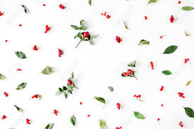 Check spelling or type a new query. Floral Frame With Minimal Creative Berry Arrangement Pattern Stock Photo Picture And Royalty Free Image Image 67688054