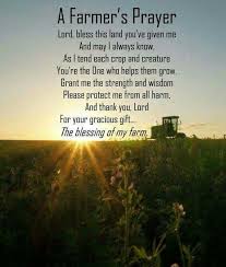 I Somehow Got Strong By Raising Skills Related To Farming Pin By Glenda Isreal On Skills Resume Thoughts Farmer Quotes Farm Life Quotes Farmer Quote