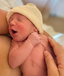 Announcing the Tiniest Fiddle Leaf Fig Lover! (Photos)