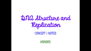 Dna add to my workbooks (68) download file pdf add to google classroom add to microsoft teams Old Unit 4 Dna Structure And Replication Notes Honors Youtube