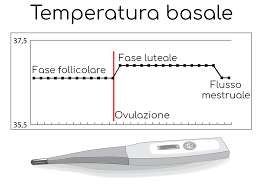 Temperatura Basale Ovulazione E Ricerca Di Gravidanza