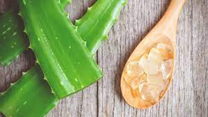 See full list on wikihow.com 5 Genius Ways Of Using Aloe Vera Gel For Hair You Ll Thank Us For