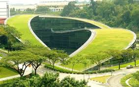 School Of Art Design And Media Nanyang Univeristy Of Technology In Singapore Green Architecture Landscape Design Roof Architecture
