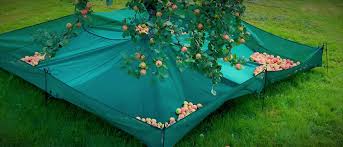 The fabric is 100% polyester ja metallic parts are rust proof. Frontpage Fruit Collector