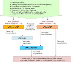 Image result for Medications in COPD Management