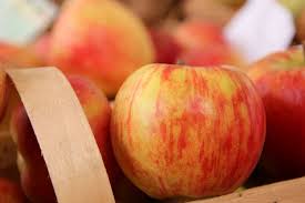 Die apfelsorte alkmene ist eine kreuzung aus der sorte cox orange und geheimrat dr. 19 Apfelsorten Zum Backen Der Beliebteste Backapfel