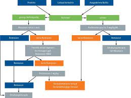 Leitliniengerechte Therapie Der Colitis Ulcerosa Update Springerlink
