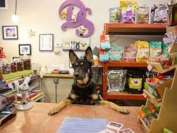 Find petsafe pet doors at lowe's today. Pet Stores In Chicago For Dog Leashes Cat Collars And More