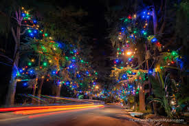 This group will count toward the photo's limit (60 for pro members, 30 for free members). Christmas Tree Lane A Holiday Tradition In Altadena California Through My Lens