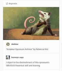 I Dont Know She Seems A Bit Showy But Shes Certainly A Star In The Making Tumblr Funny Funny Pictures Funny Animals