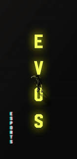 Both capacities conform to the m2 2280 s3 single sided 3mm specification. Evos Esport Wallpaper Logo Hewan Fotografi Tempo Dulu Wallpaper Kartun
