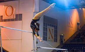 Can you fill out this survey for my master thesis, please? Ginnastica Artistica Trofeo Citta Di Jesolo 2018 Elisa Iorio Vola Alle Parallele Asimmetriche
