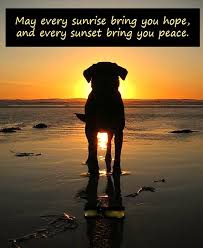 How beautiful it is to find...