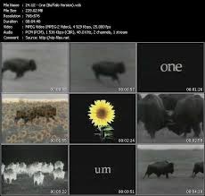 Where is the love / one. U2 One Startseite Facebook