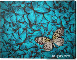 359 mobile walls 23 art 315 images 217 avatars 127 gifs. Beautiful Butterfly Background Canvas Print Pixers We Live To Change
