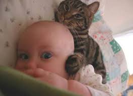 Amistad entre bebés y mascotas...