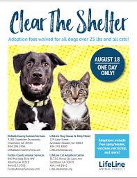 Maybe you would like to learn more about one of these? Dog Adoption Centers In Georgia