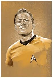 Image result for captain kirk