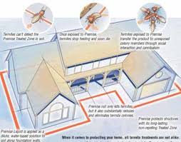 If you live in a region that has a high probability of termite infestation, such termites are cryptic, which leads to potential damage in areas that you're unable to see, ramsey says. Termites In House Meaning