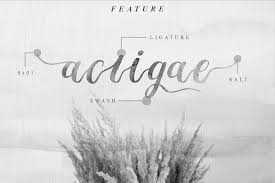 Check out our list of 17 of the best calligraphy fonts. Ie 1h9gqmweexm