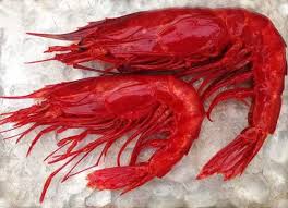 The carabineros was an armed carabiniers force of spain under both the monarchy and the second republic. Mr Theodore Carabineros Gambero Rosso From Sicily Facebook