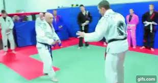 Cross Sleeve Tani Otoshi To Mount Bjj Judo Kampfsport Sport