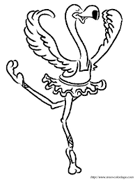 Ausmalbilder Vogel Bild Flamingo Ballett