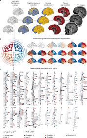 46,353 human face stock illustrations and clipart. Shared Heritability Of Human Face And Brain Shape Nature Genetics