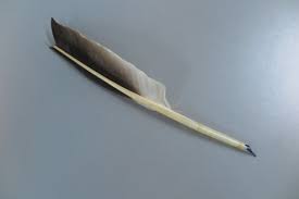 Powerhouse Collection - Two quills