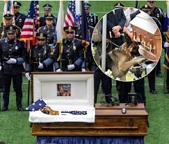 Bình luận thế sự