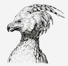 In the ancient greek and egyptian mythologies, it is described as a large bird, much like an eagle, with supernatural you also saw this bird in the harry potter movie 'harry potter and the order of the phoenix'. Fawkes The Phoenix Harry Potter Art Drawings Harry Potter Drawings Harry Potter Sketch
