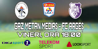 Although the current score, time elapsed, video and other data provided on this site is sourced from live feeds provided by third parties, you should be aware that this data may be subject to a time delay and/or be inaccurate. Gaz Metan MediaÈ™ Fc ArgeÈ™ Deschide Etapa 2 Din Casa Liga 1 Fc Arges