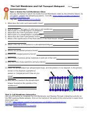 What are the reactants of cellular respiration? How Many Molecules Of Oxygen Gas Were Produced 43 How Many Atoms Of Oxygen Are Course Hero