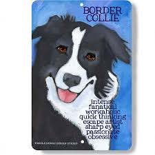 So i just felt like representing the most basic colour combos in an (: Border Collie Dog Metal Sign 12 In H