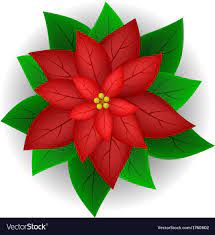 Poinsettia Flower Vector Image On Vectorstock In 2020 Poinsettia Flower Christmas Vectors Snowflake Sticker